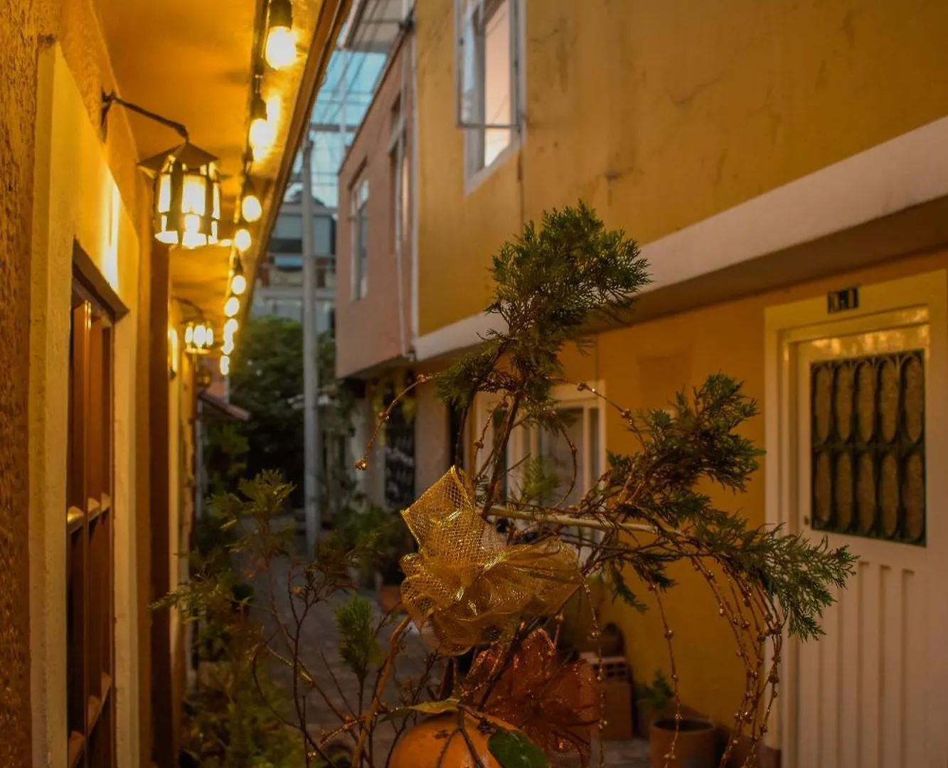 Usaquen Station Hostel 波哥大 哥伦比亚